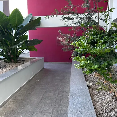 Alex Apartmán Larnaca