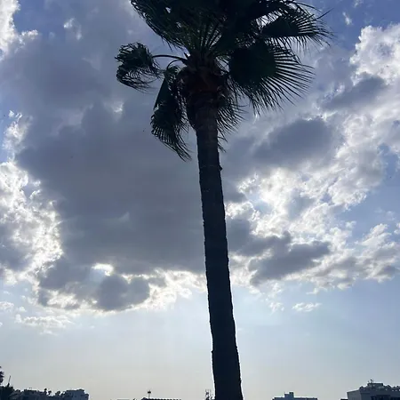 Alex Larnaca